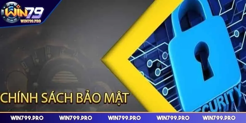Khám phá thông tin chính sách bảo mật