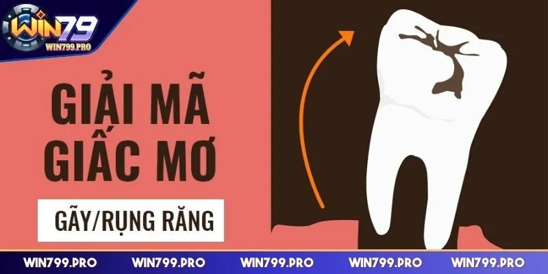 Giải mã ý nghĩa khi mơ thấy rụng răng