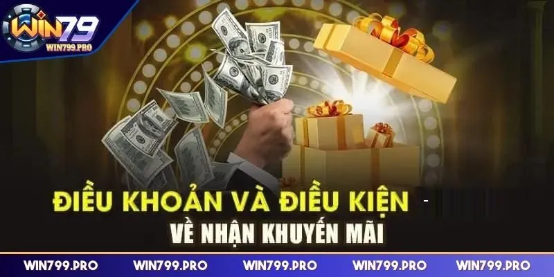 Điều khoản điều kiện về khuyến mãi