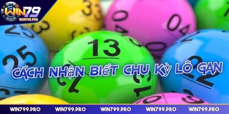 Tìm hiểu chu kỳ của lô gan