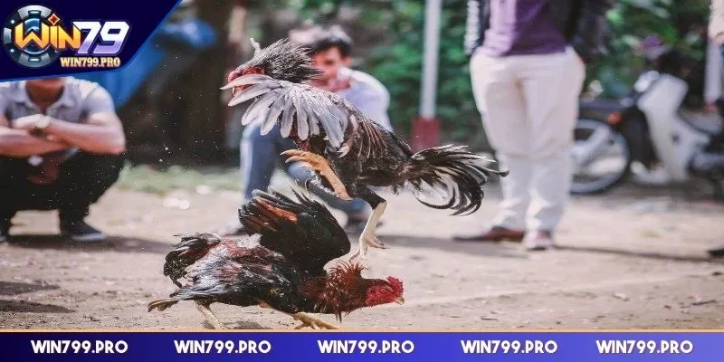Cách chăm sóc, tăng cường sức khỏe